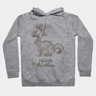 Unusual Deer Rabbet Racoon Animal Hoodie